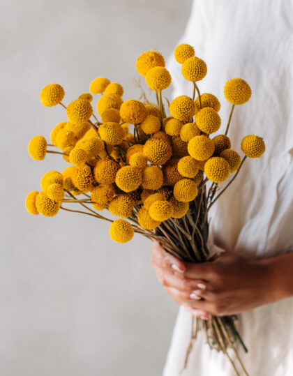 Billy Buttons seemned