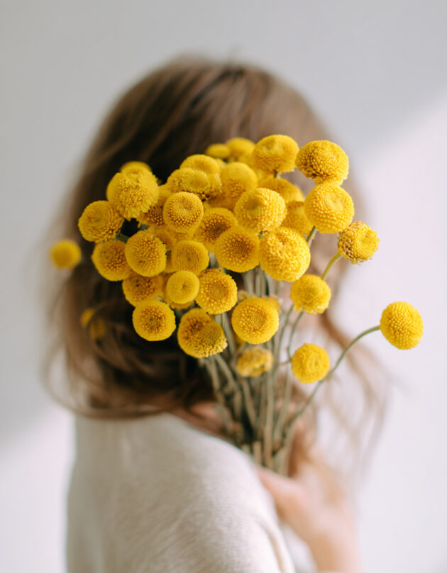 Billy Buttons seemned - Pilt 3