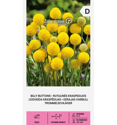 Billy Buttons seemned