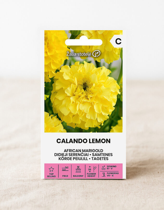 Aafrika peiulille seemned 'Calando Lemon'