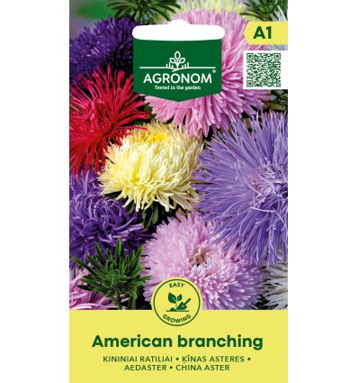Aedastrite seemned 'American Branching'