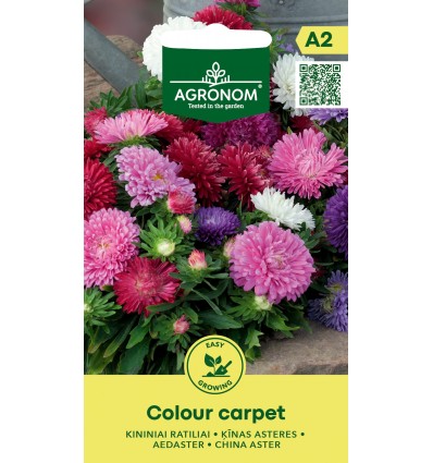 Aedastri seemned mix 'Colour Carpet'