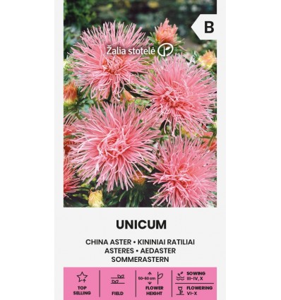 Hiina aedastri seemned 'Unicum'