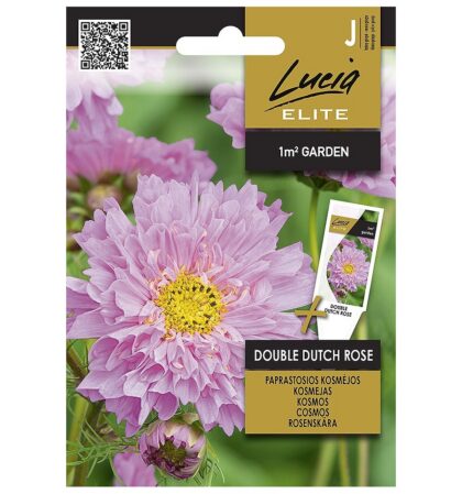 Täidisõielise kosmose seemned 'Double Dutch Rose'