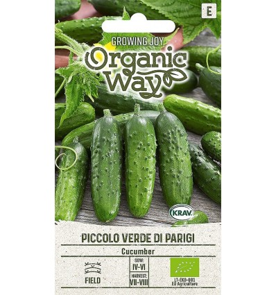Orgaanilised kurgi seemned "Piccolo Verde di Parigi'