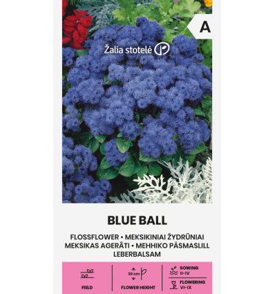 Sinilille seemned 'Blue Ball' (Ageratum)