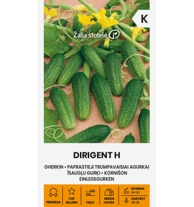Marineerimiskurgi seemned 'Dirigent H'