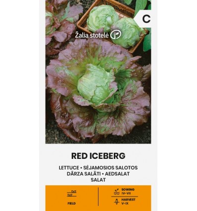 Jääsalati seemned 'Red Iceberg'