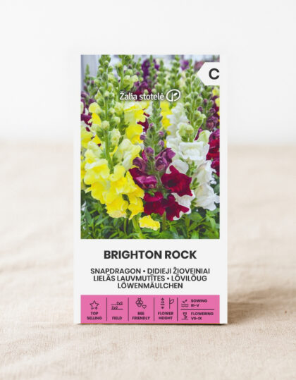 Lõvilõua seemned 'Brighton Rock'