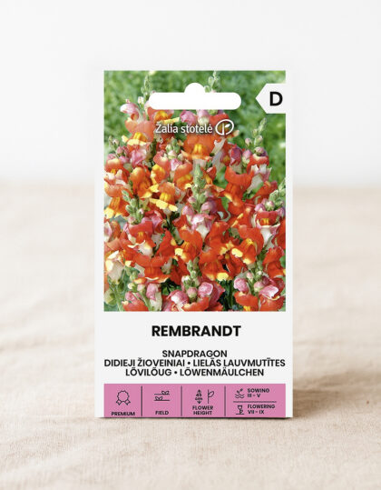 Lõvilõua seemned 'Rembrandt'