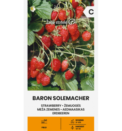 Metsmaasika seemned 'Baron Solemacher'