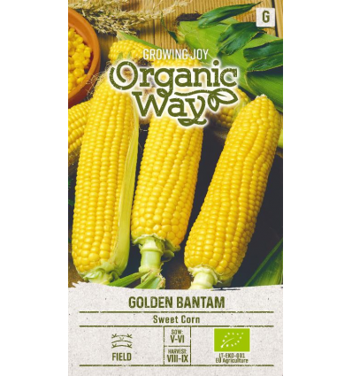 Magusa maisi seemned 'Golden Bantam' (orgaanilised)