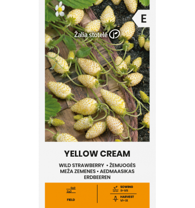 Metsmaasika seemned 'Yellow Cream'