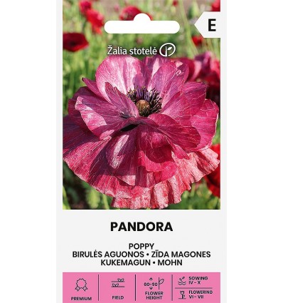 Mooni seemned 'Pandora'