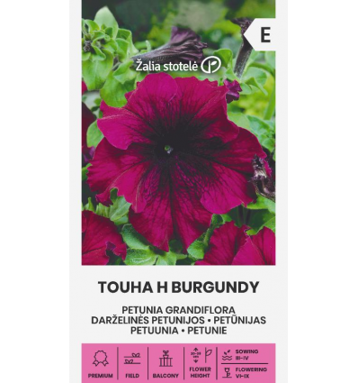 Petuunia seemned 'Touha H Burgundy'