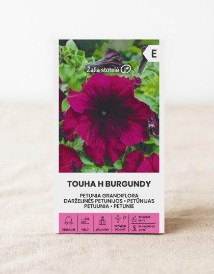 Petuunia seemned 'Touha H Burgundy'
