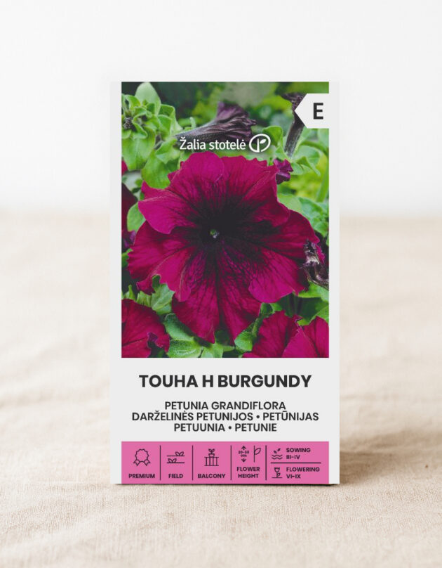 Petuunia seemned 'Touha H Burgundy'