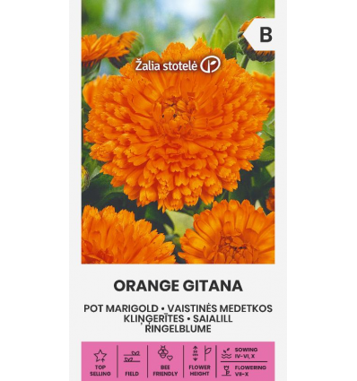 Saialille seemned 'Orange Gitana'