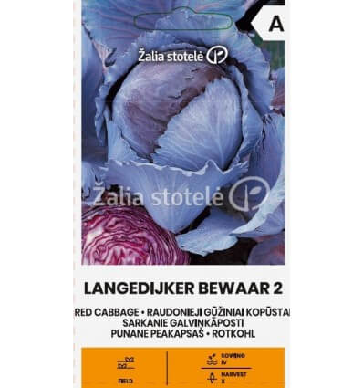Punane peakapsas "Langedijker Bewaar 2"