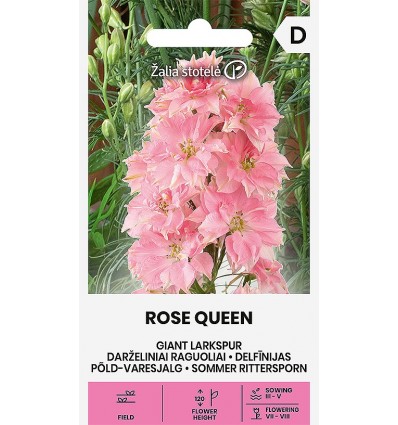 Tähklille seemned 'Rose Queen'