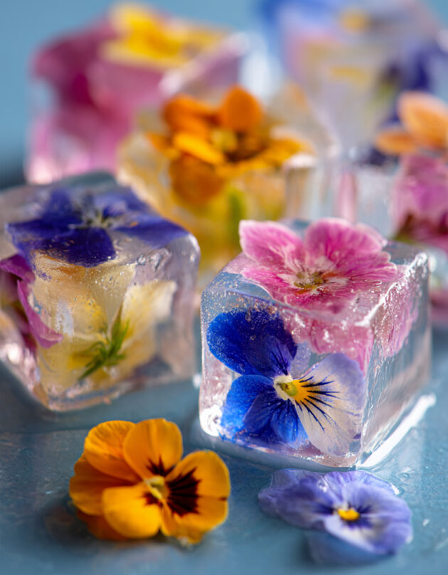Valgomųjų gėlių sėklų mišinys 'Ice Cube'