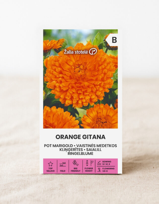 Saialille seemned 'Orange Gitana'