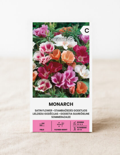 Siidilille seemned 'Monarch'