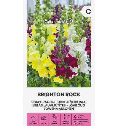 Lõvilõua seemned 'Brighton Rock'