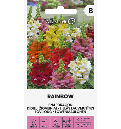 Lõvilõua seemned 'Rainbow'