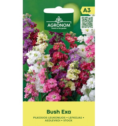 Leeklille seemned mix 'Bush Exa'