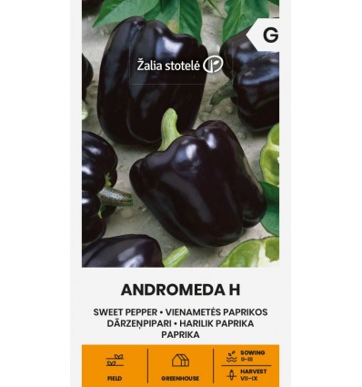 Paprika seemned 'Andromeda H'