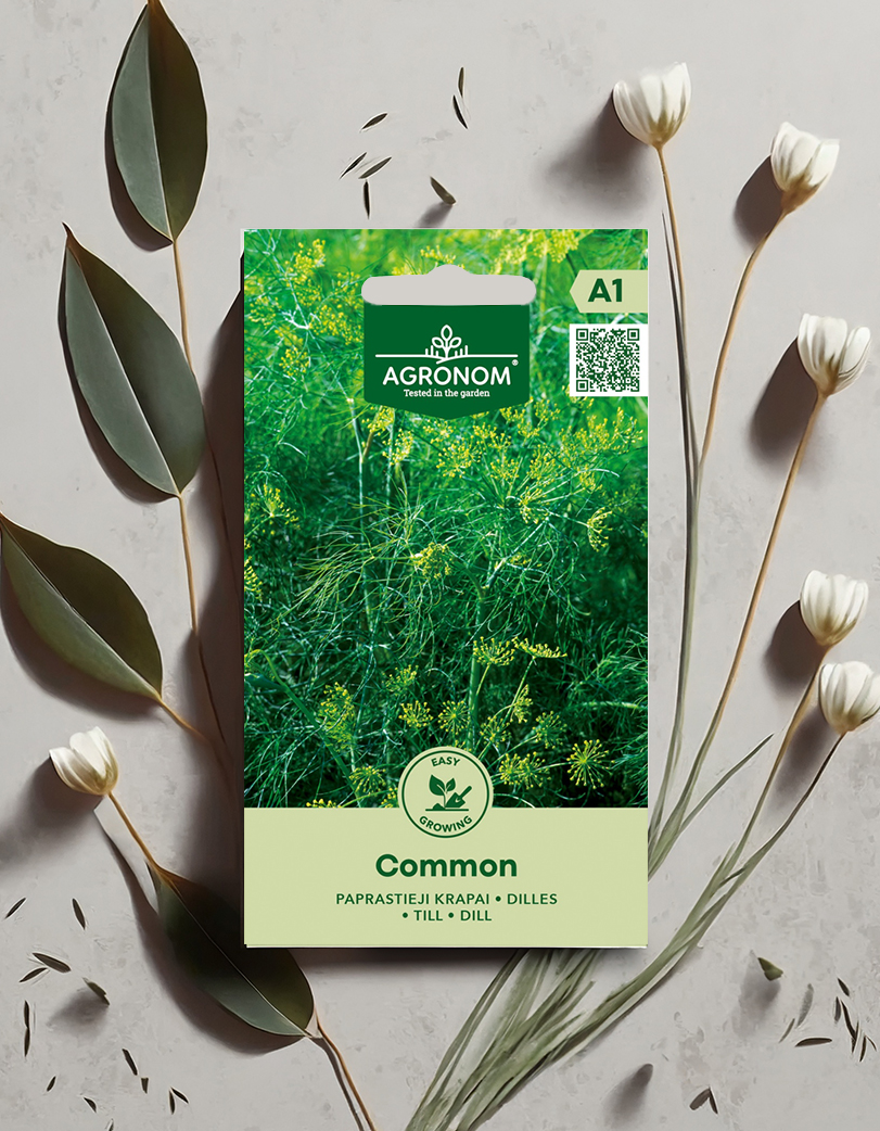 Hariliku tilli seemned 'Common' - Image 2