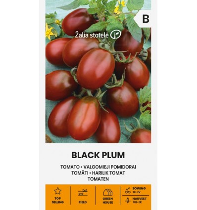 Kobartomati seemned "Black Plum"