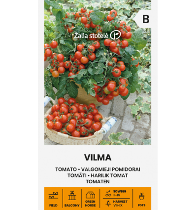 Kirsstomati seemned 'Vilma'