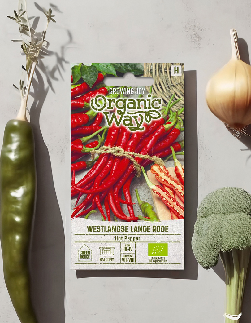 Orgaanilised tšillipipra seemned 'Westlandse Lange Rode'