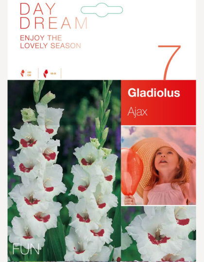 gladiooli sibulad