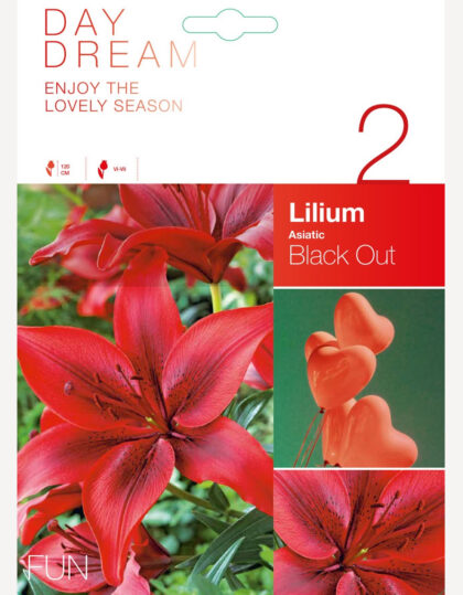 aed-liilia