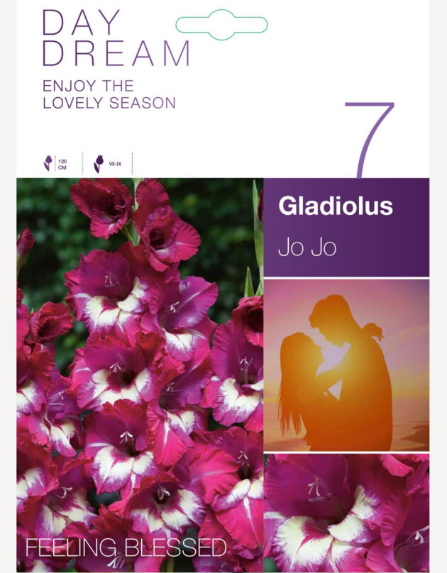 gladiooli sibulad