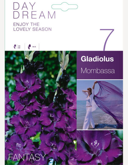 gladiooli sibulad
