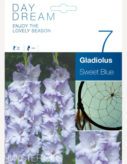 gladiooli sibulad