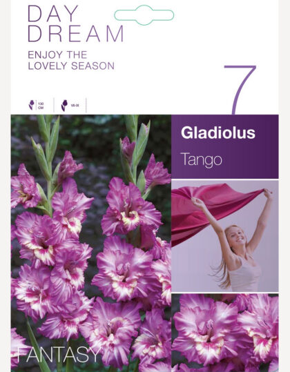 Gladiooli sibulad ‘Tango’