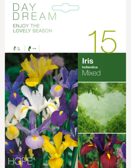 hollandi iiriste segu