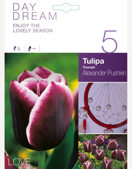 Tulbisibulad ‘Alexander Pushkin’ 5 tk