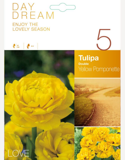 Tulp ‘Yellow Pomponette’ 5tk