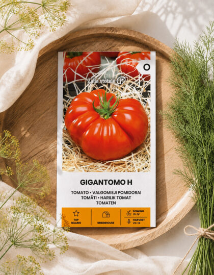 Tomat ‘Gigantomo H’ seemned